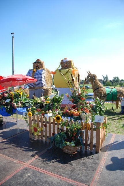 Dożynki Gminne Głogowa 2008