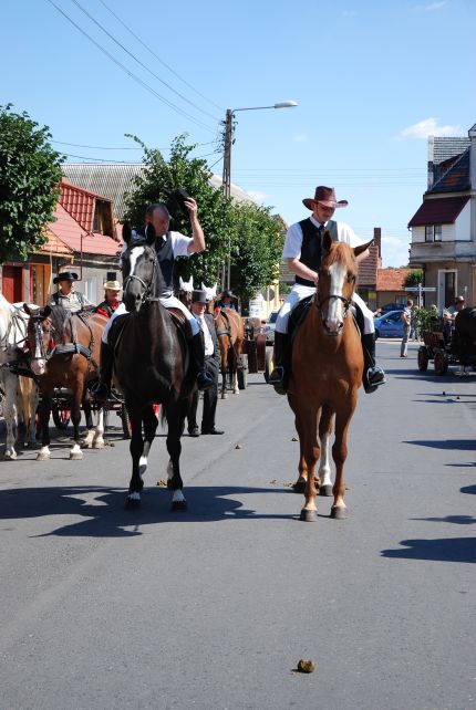 Dożynki Gminne Głogowa 2008