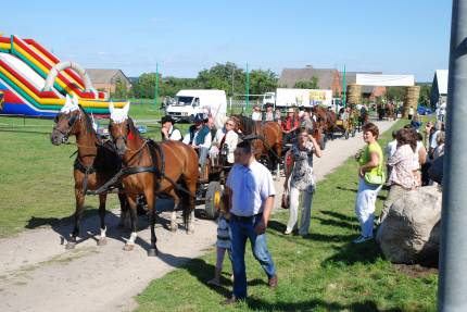 Dożynki Gminne Głogowa 2008