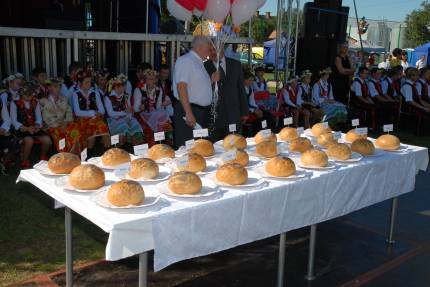 Dożynki Gminne Głogowa 2008