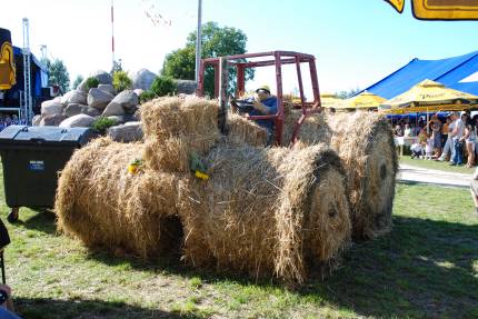 Dożynki Gminne Głogowa 2008