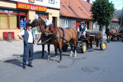 Dożynki Gminne Głogowa 2008