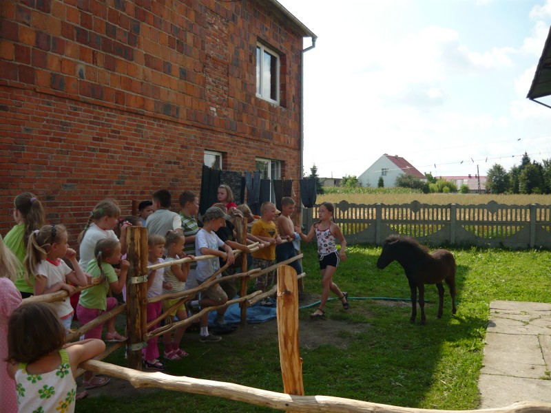 Wakacje 2009 Zdrowo, Bezpiecznie i Pożytecznie