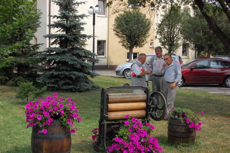 Pszczoły na raszkowskim Rynku