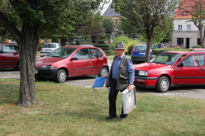 Pszczoły na raszkowskim Rynku