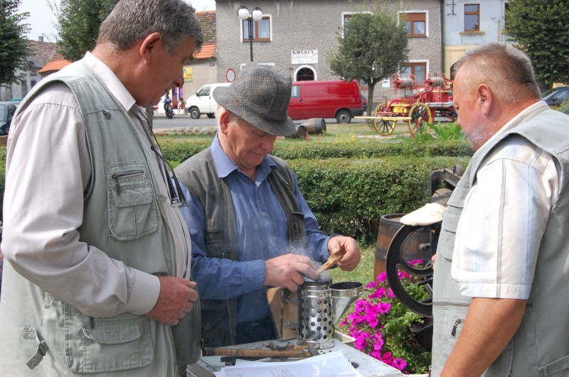 Pszczoły na raszkowskim Rynku