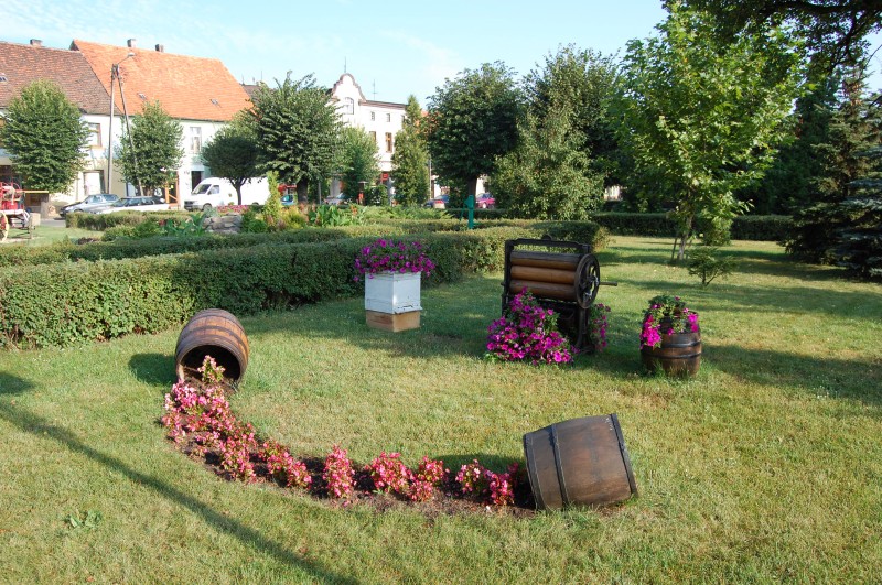 Pszczoły na raszkowskim Rynku