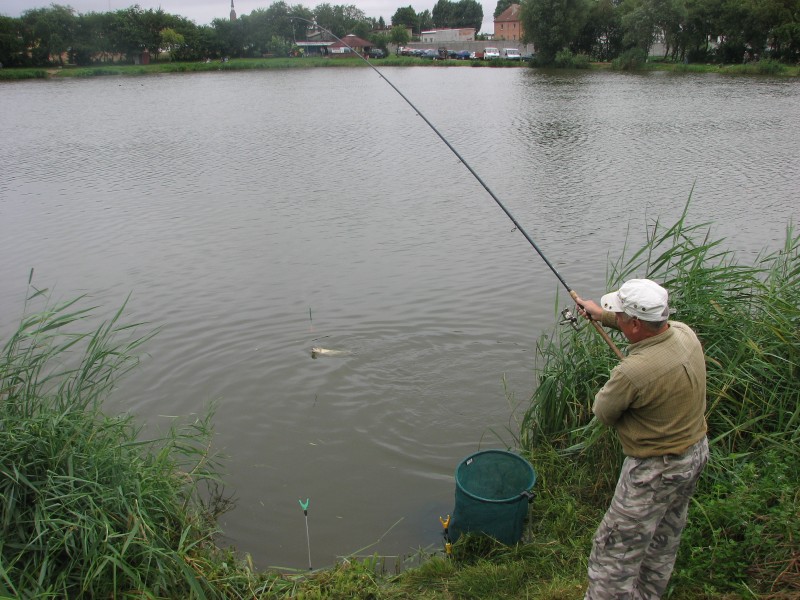 Zawody o puchar Burmistrza Gminy i Miasta Raszków