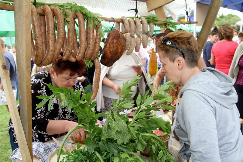 Wspominamy Swojskie Spotkania z Folklorem