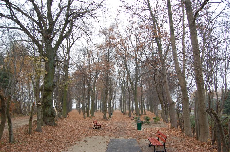 Kolejny park dla mieszkańców