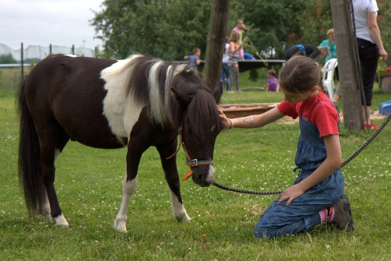 Dzień w siodle