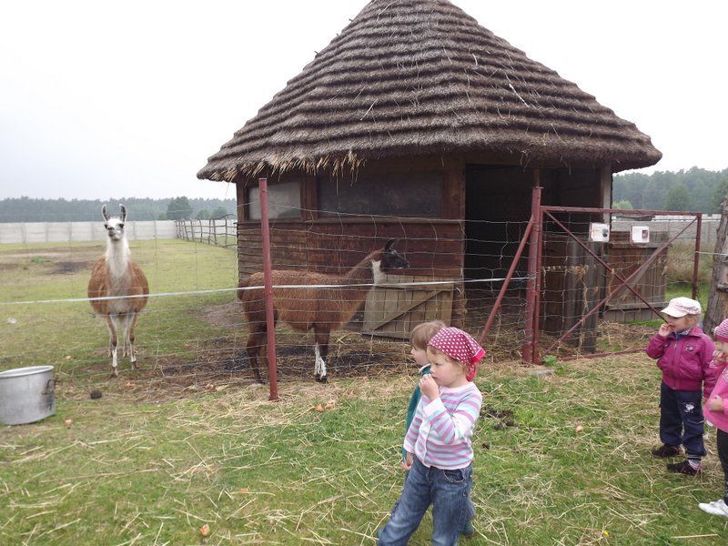 Czerwiec w przedszkolu "Smerfy"