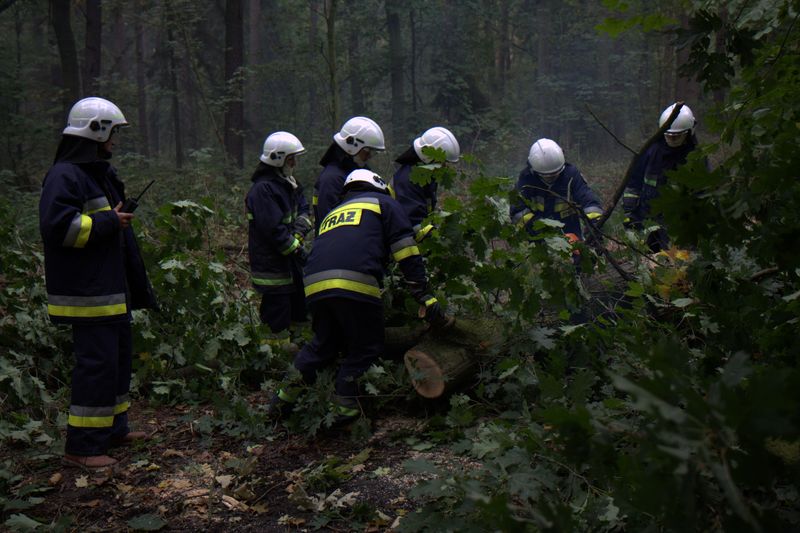 Ćwiczenia taktyczno-bojowe pod kryptonimem LAS 2012