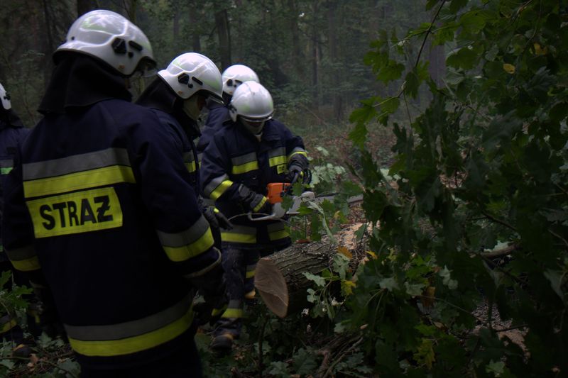 Ćwiczenia taktyczno-bojowe pod kryptonimem LAS 2012