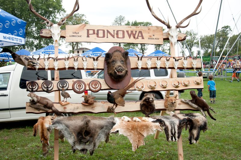 Wspomnienia z Gminnych Dożynek w Raszkowie