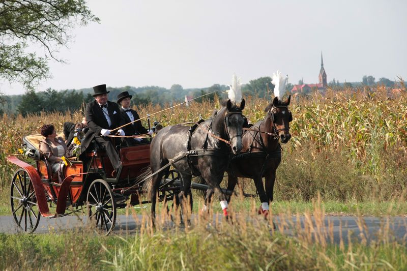 Jeszcze wspominamy Gminne Dożynki...