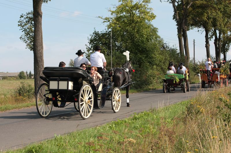 Jeszcze wspominamy Gminne Dożynki...