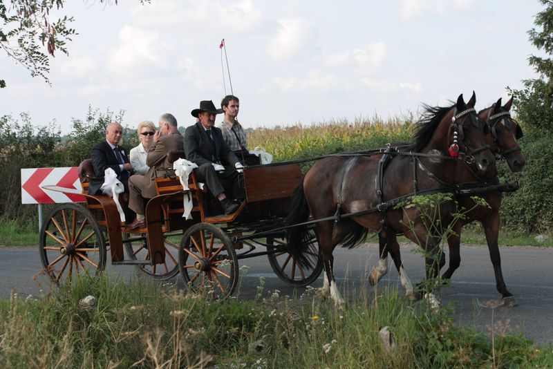 Jeszcze wspominamy Gminne Dożynki...