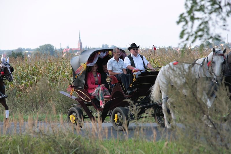 Jeszcze wspominamy Gminne Dożynki...