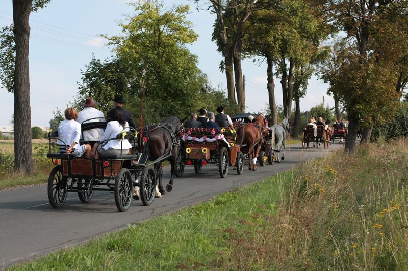 Jeszcze wspominamy Gminne Dożynki...