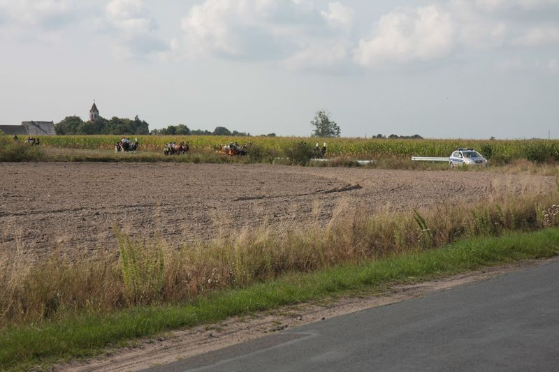 Jeszcze wspominamy Gminne Dożynki...