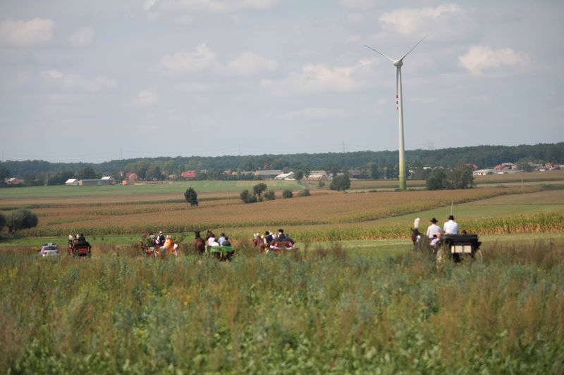 Jeszcze wspominamy Gminne Dożynki...