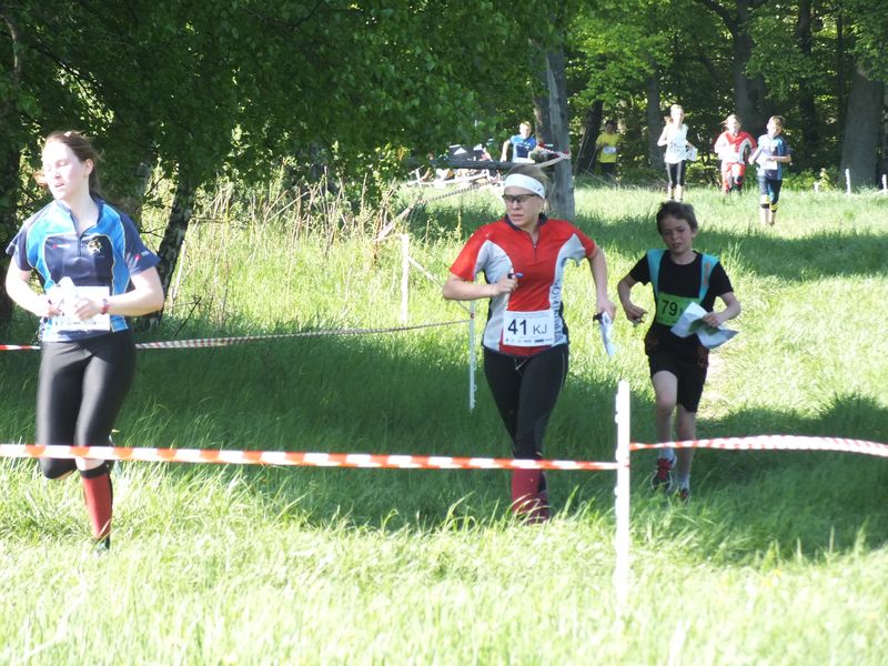 Klubowe Mistrzostwa Polski w biegu na orientację Gdańsk-Sopot