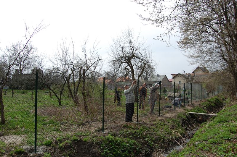 Porządki w parku miejskim