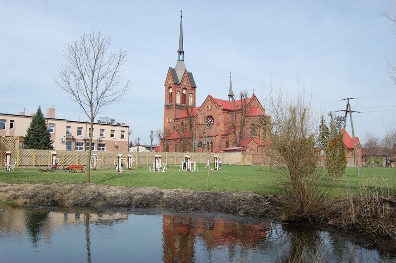 Porządki w parku miejskim