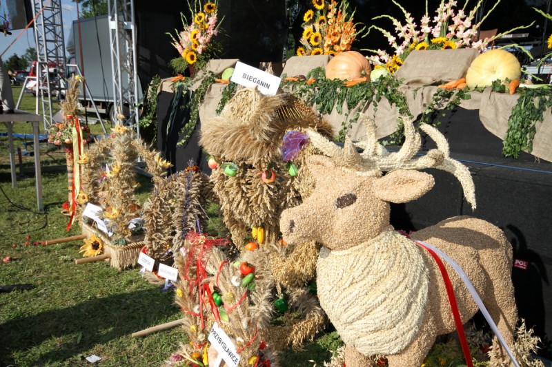 Relacja z uroczystości dożynkowych - Raszków 2013 (NOWE ZDJĘCIA)