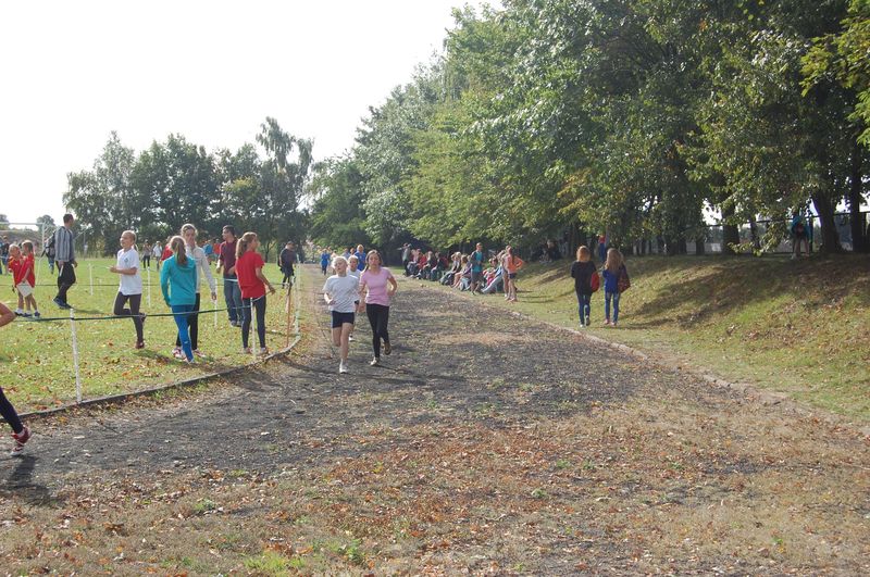 Wyniki jubileuszowego CROSS-u FIEDLERA