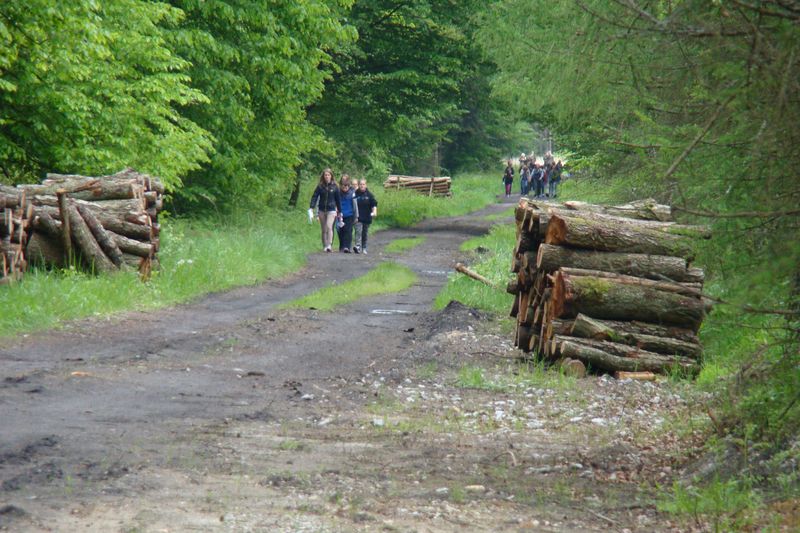 Pamięci Żołnierzy Wyklętych