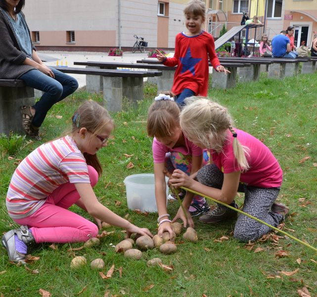 Pyszne "Święto pieczonego ziemniaka"