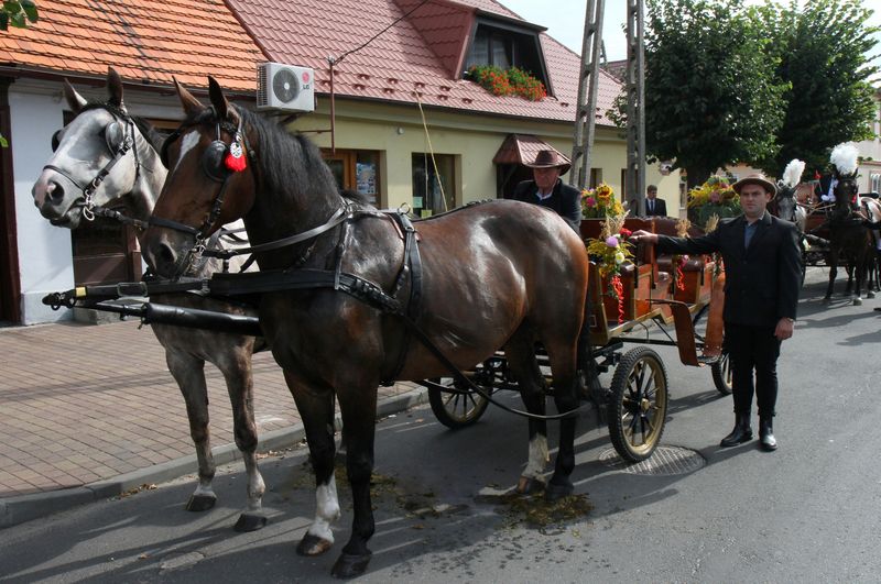 Wspominamy Dożynki Gminne w Raszkowie