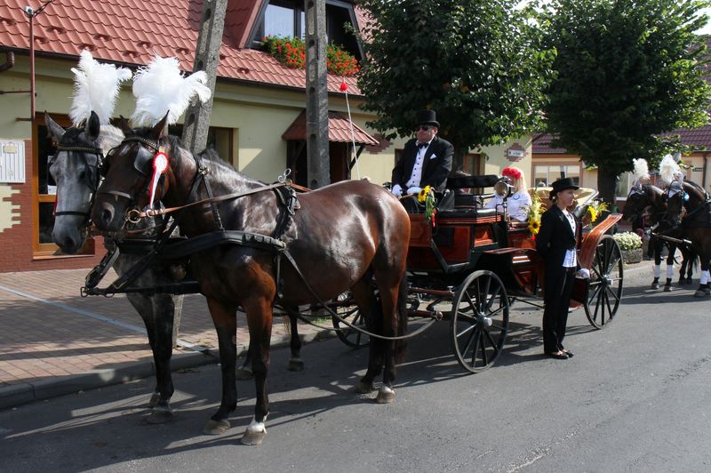 Wspominamy Dożynki Gminne w Raszkowie