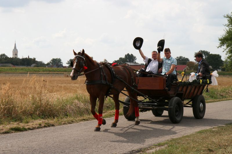 Wspominamy Dożynki Gminne w Raszkowie