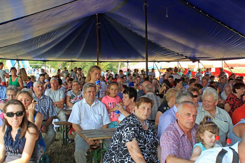 Dożynkowa Estrada Folkloru 2015