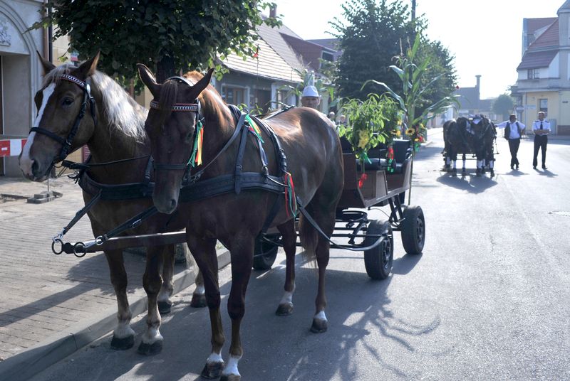 Dożynki Gminne Raszków 2015