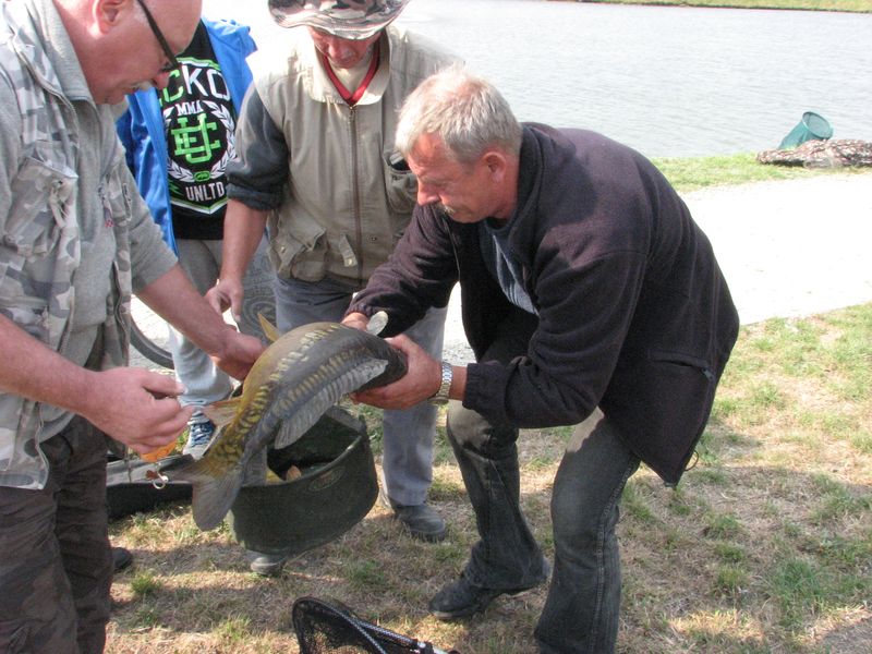 Raszkowskie Towarzystwo Wędkarskie podsumowało 2015 rok