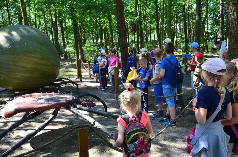 Akcja Lato w M-GOK zakończona