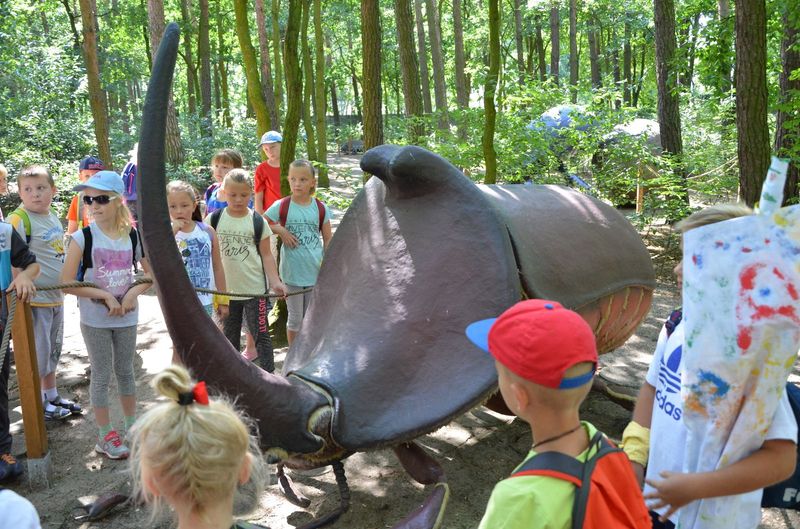 Akcja Lato w M-GOK zakończona