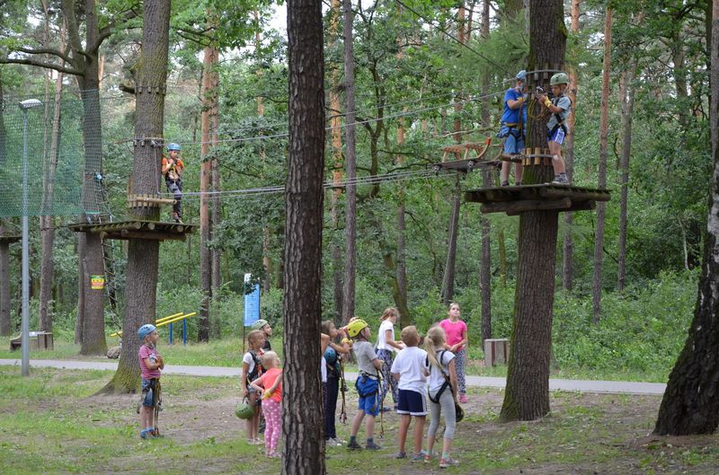 Akcja Lato w M-GOK zakończona