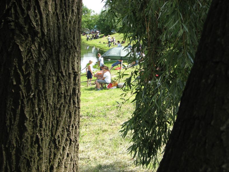 Wspominamy Zawody Wędkarskie i Piknik z okazji Dnia Dziecka