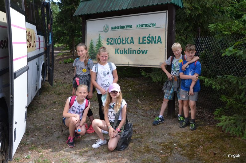 AKCJA LATO 2017 podsumowana