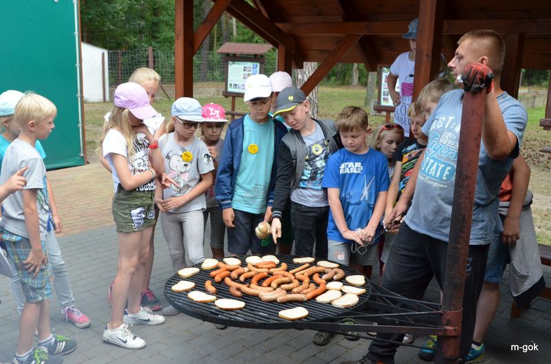 AKCJA LATO 2017 podsumowana