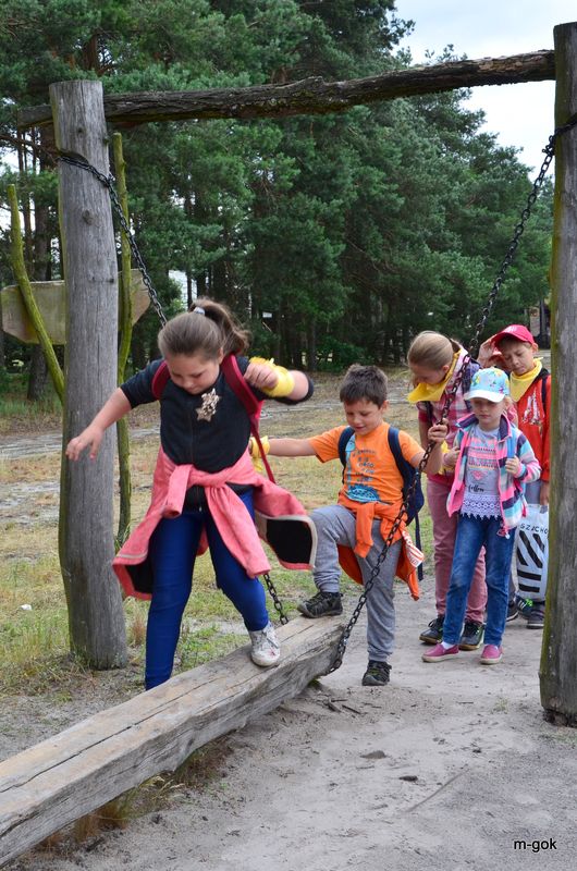 AKCJA LATO 2017 podsumowana