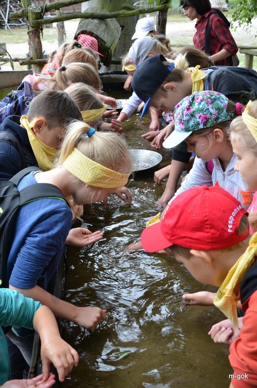 AKCJA LATO 2017 podsumowana