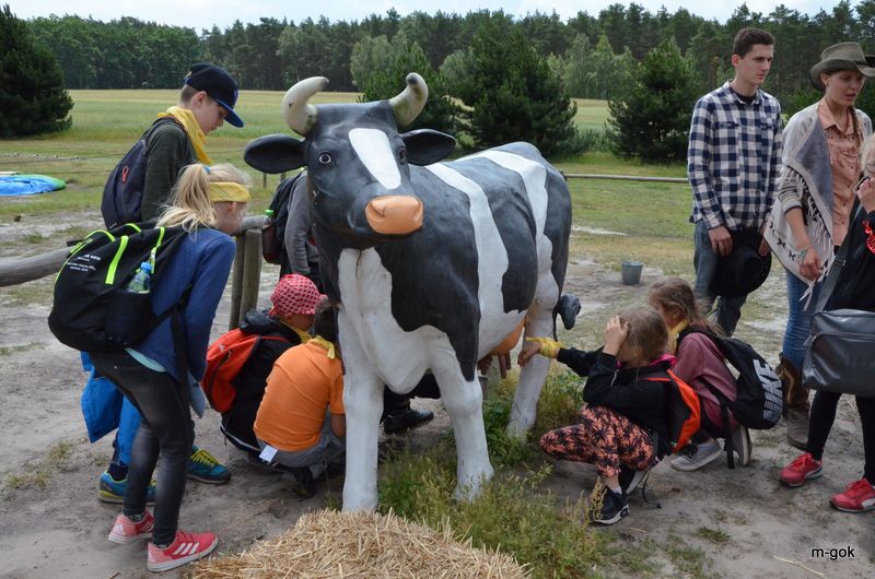 AKCJA LATO 2017 podsumowana