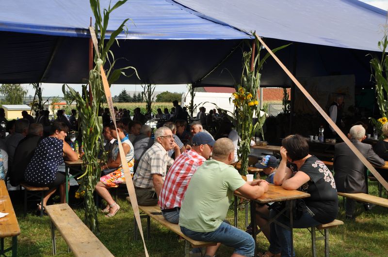 Dożynki Wiejskie w Głogowej