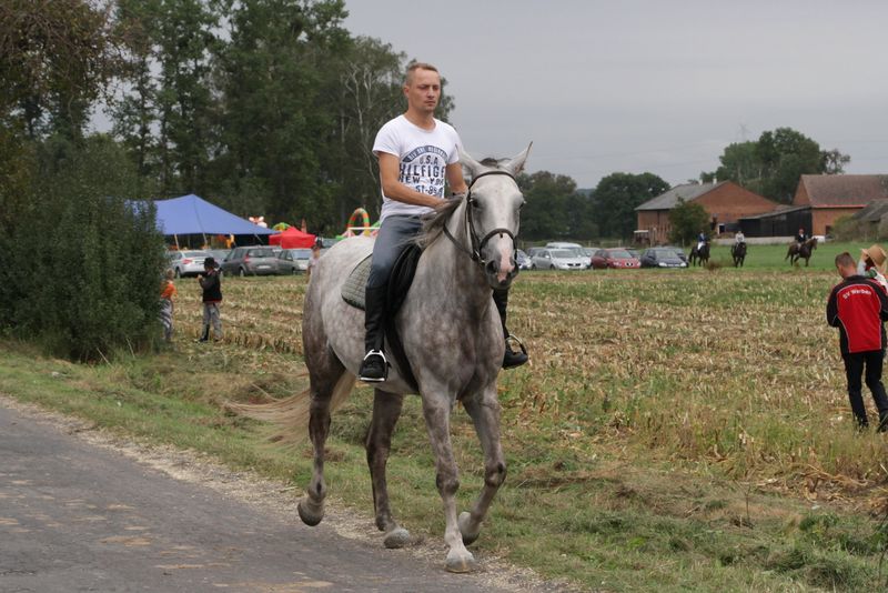 Kaczor w Jankowie Zaleśnym